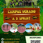 La imagen actual no tiene texto alternativo. El nombre del archivo es: campus-verano.png
